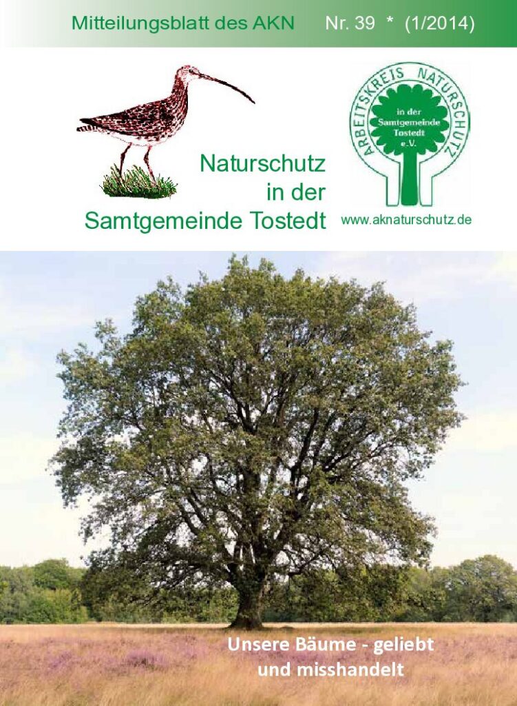 thumbnail of Nr. 39 (1/14)