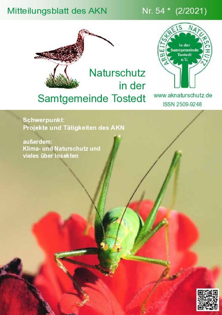 thumbnail of Nr. 54 (2/21)