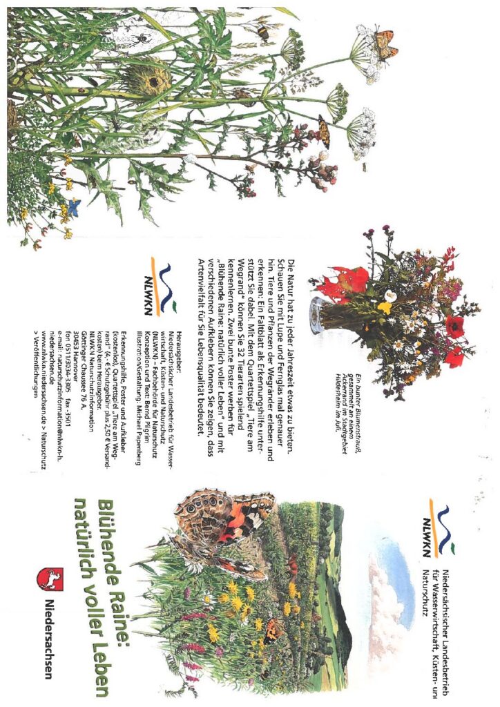 thumbnail of Flyer_Bluehende-Raine