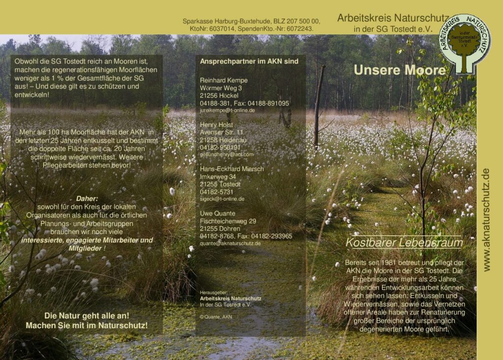 thumbnail of Flyer_moor
