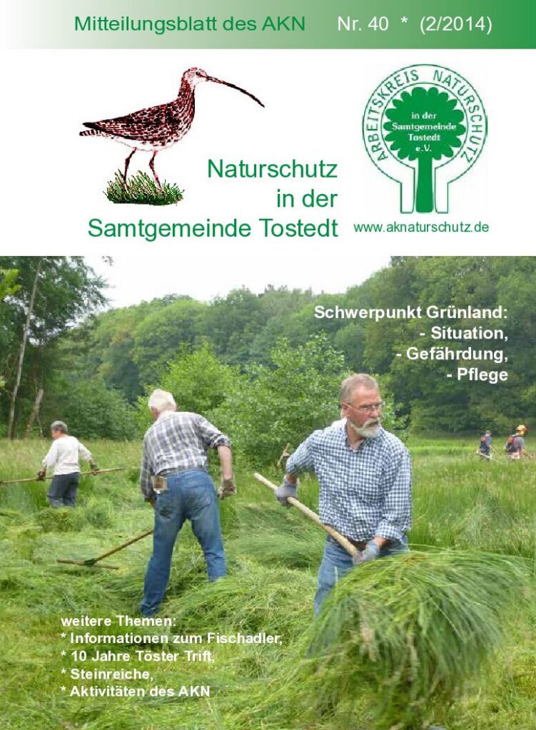 thumbnail of Nr. 40 (2/14)