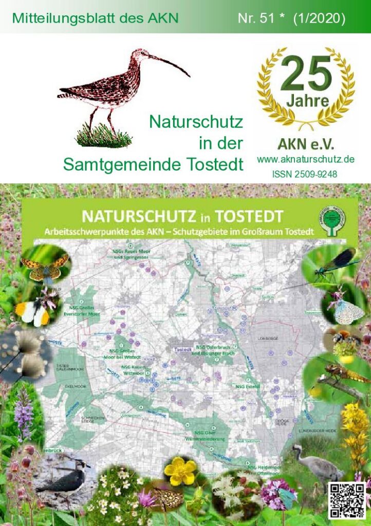 thumbnail of Nr. 51 (1/20)