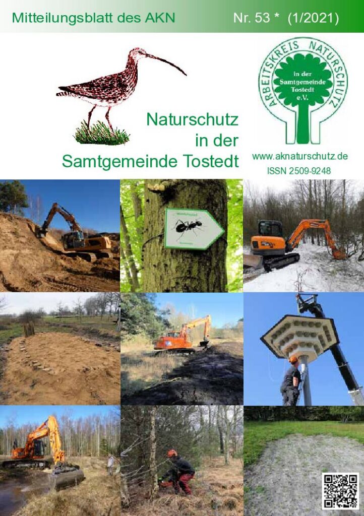 thumbnail of Nr. 53 (1/21)