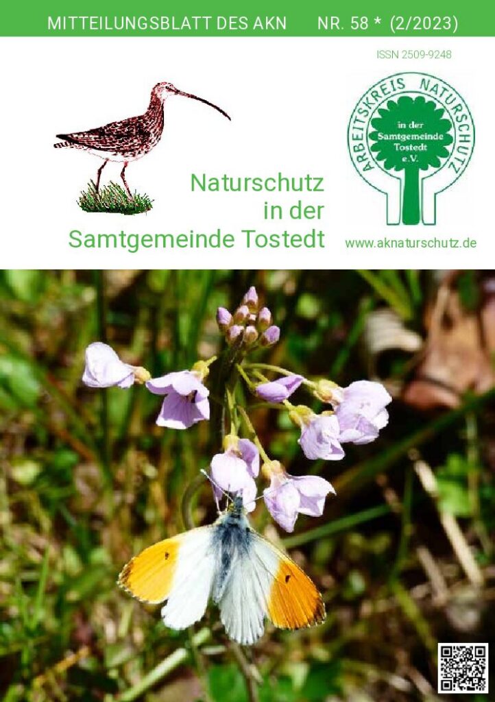 thumbnail of Nr. 58 (2/23)