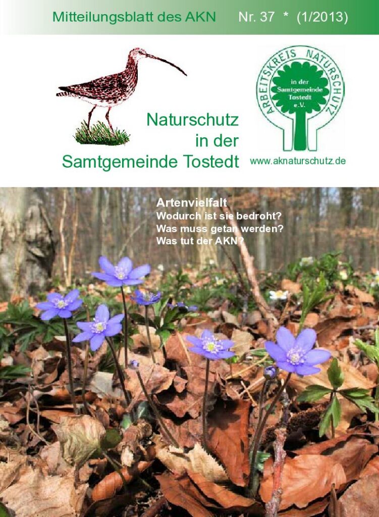 thumbnail of Nr. 37 (1/13)