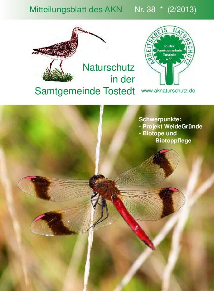 thumbnail of Nr. 38 (2/13)