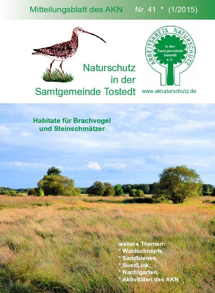 thumbnail of Nr. 41 (1/15)