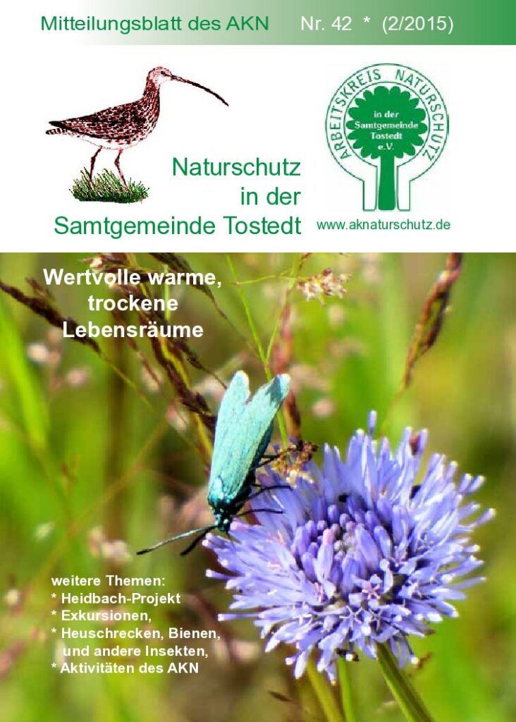 thumbnail of Nr. 42 (2/15)