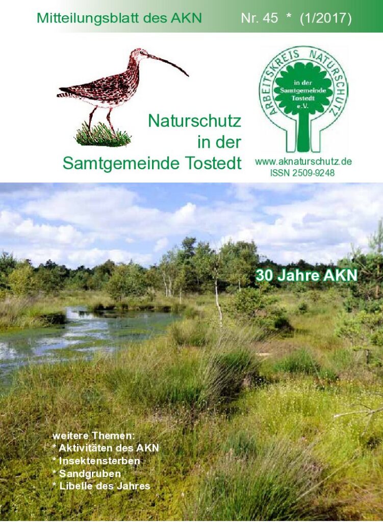 thumbnail of Nr. 45 (1/17)