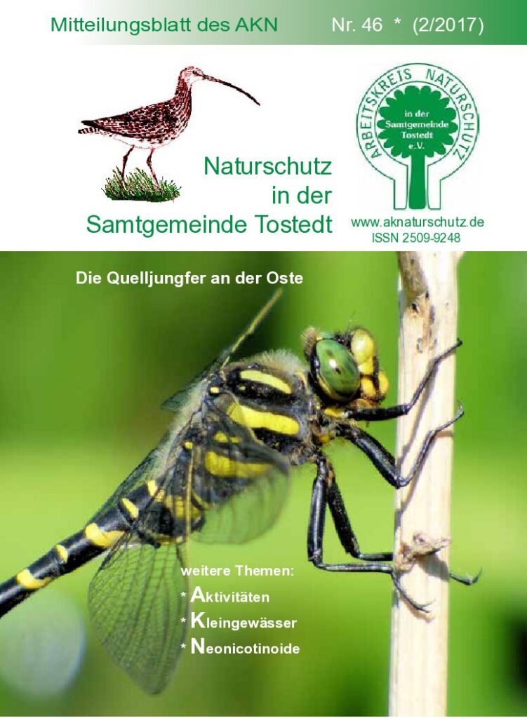 thumbnail of Nr. 46 (2/17)