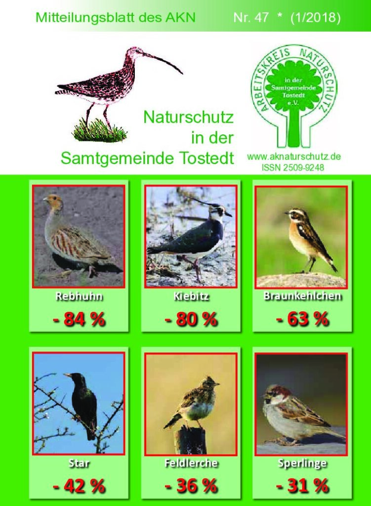 thumbnail of Nr. 47 (1/18)